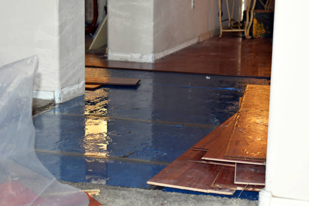Professional Burst Pipe Cleanup technician working in Campbell, TX