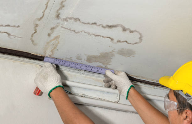 Reliable Burst Pipe Cleanup contractor in Campbell, TX by Local Water Damage Repair